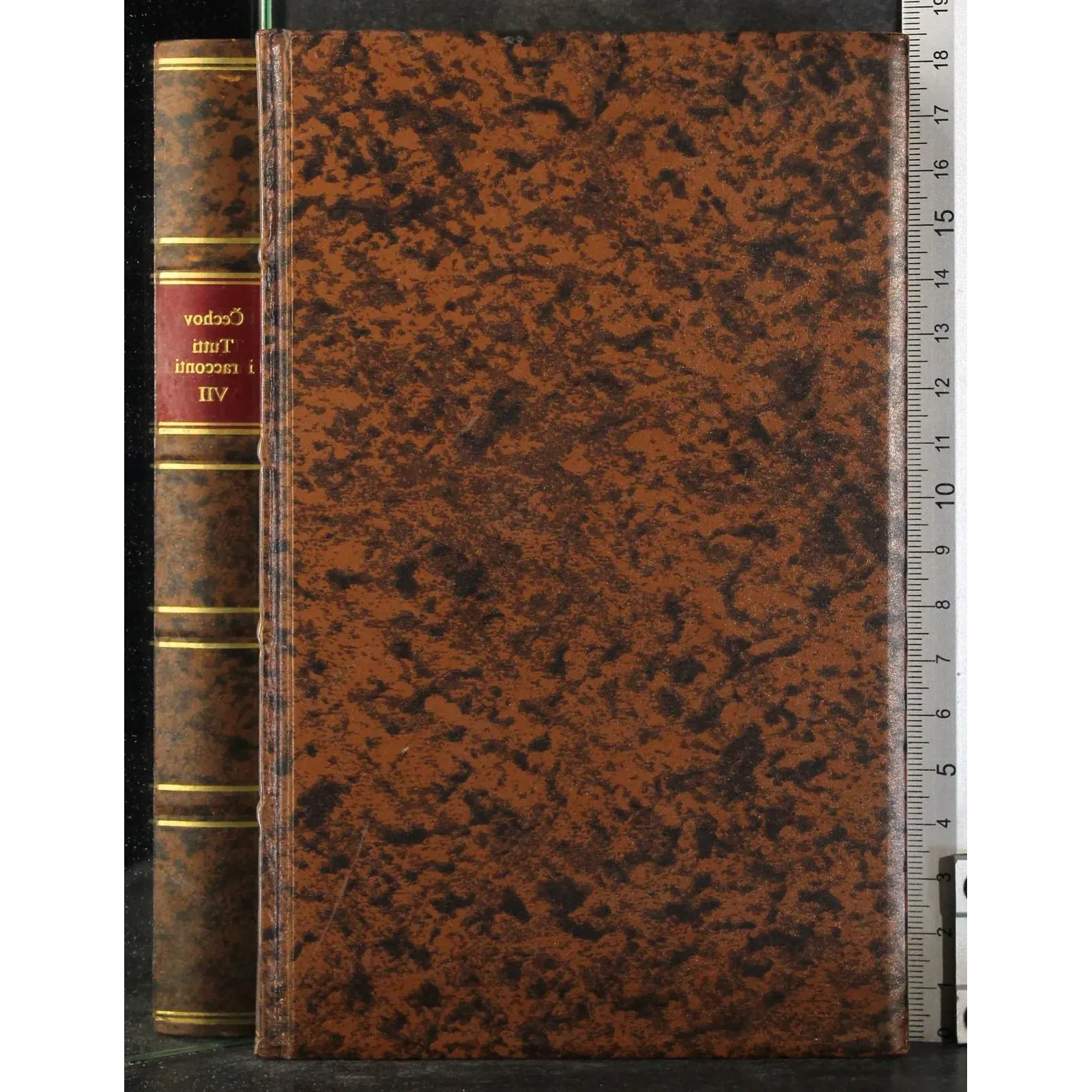 Tutti i racconti VII. Una storia noiosa