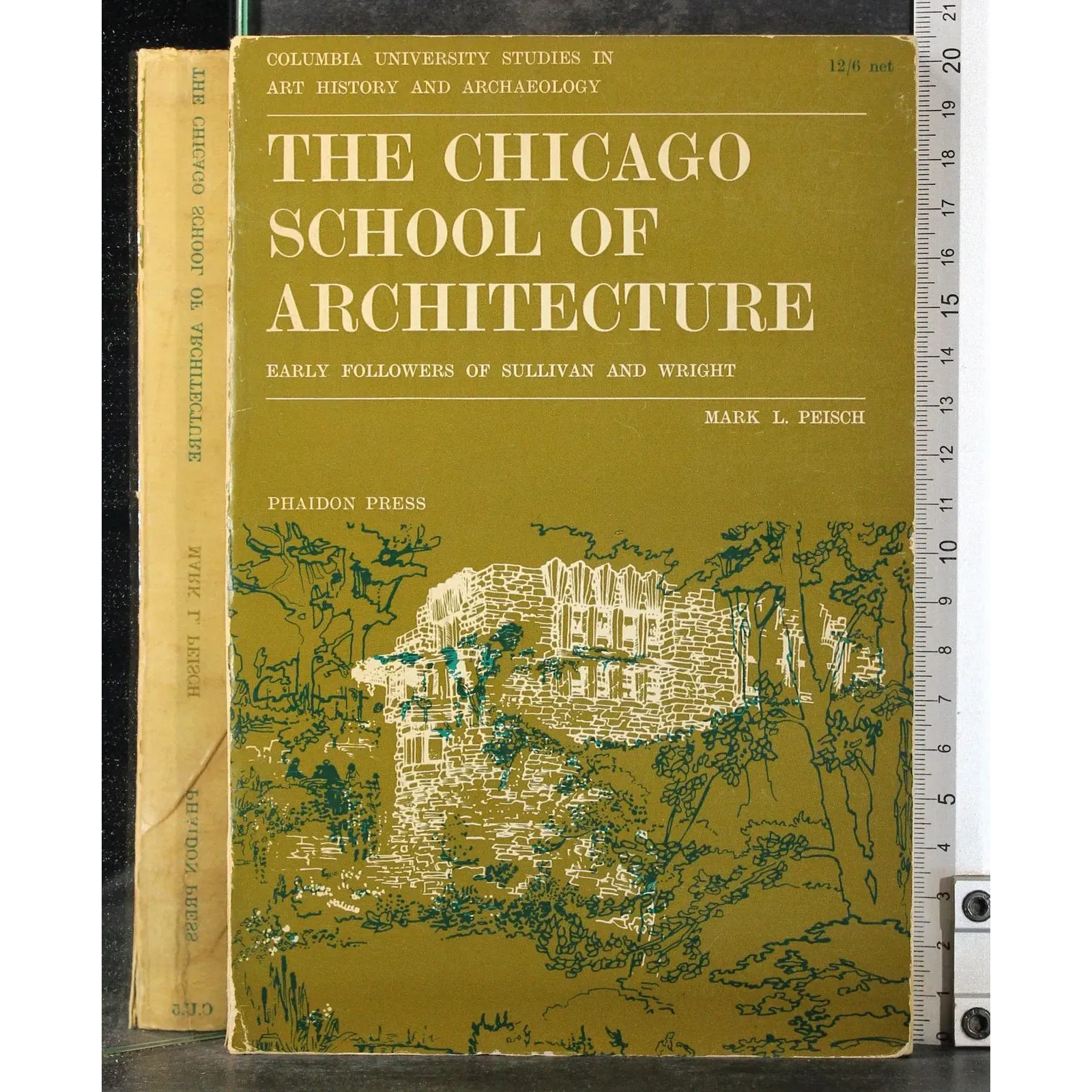 The chicago school of architecture