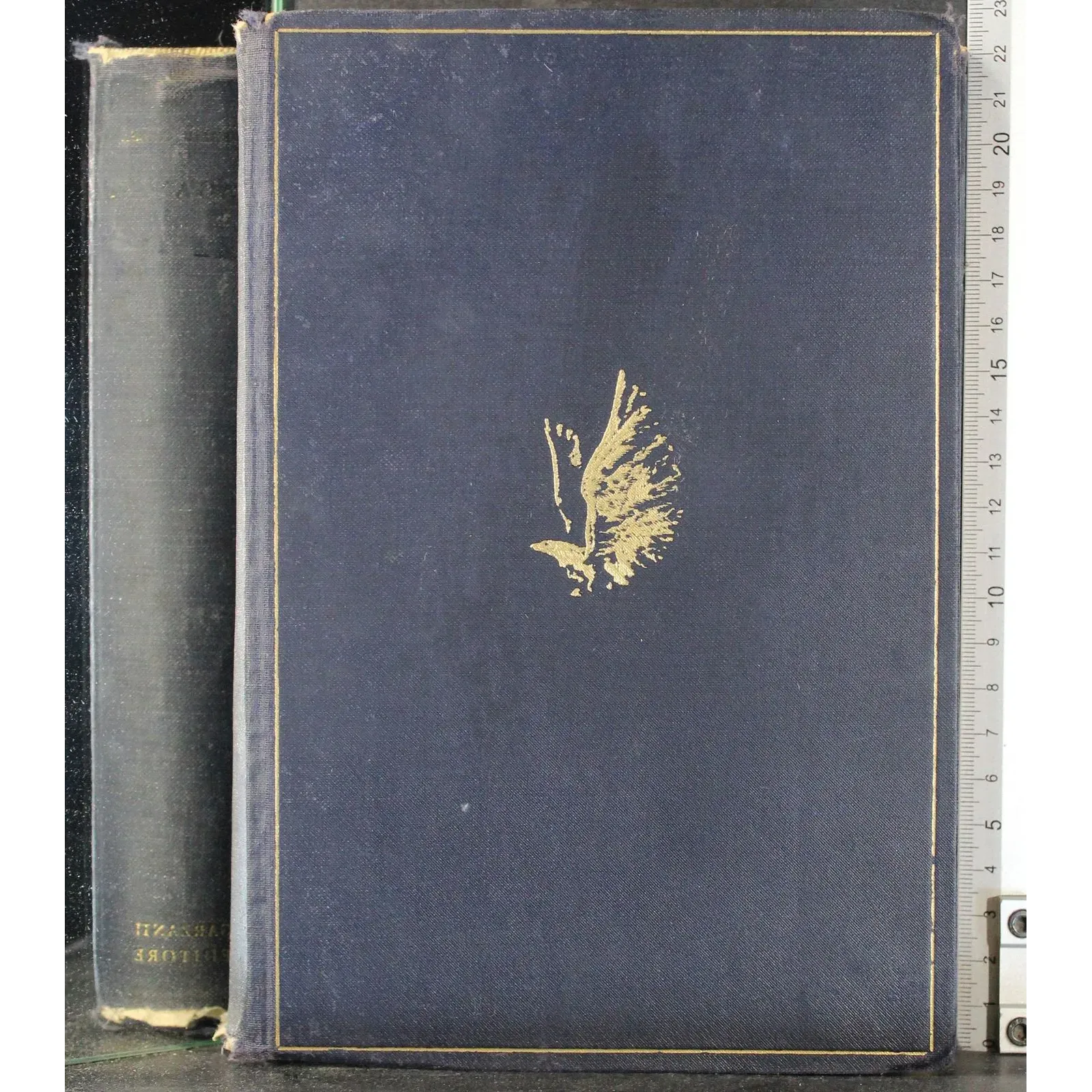 Paganini. La vita e l'opera