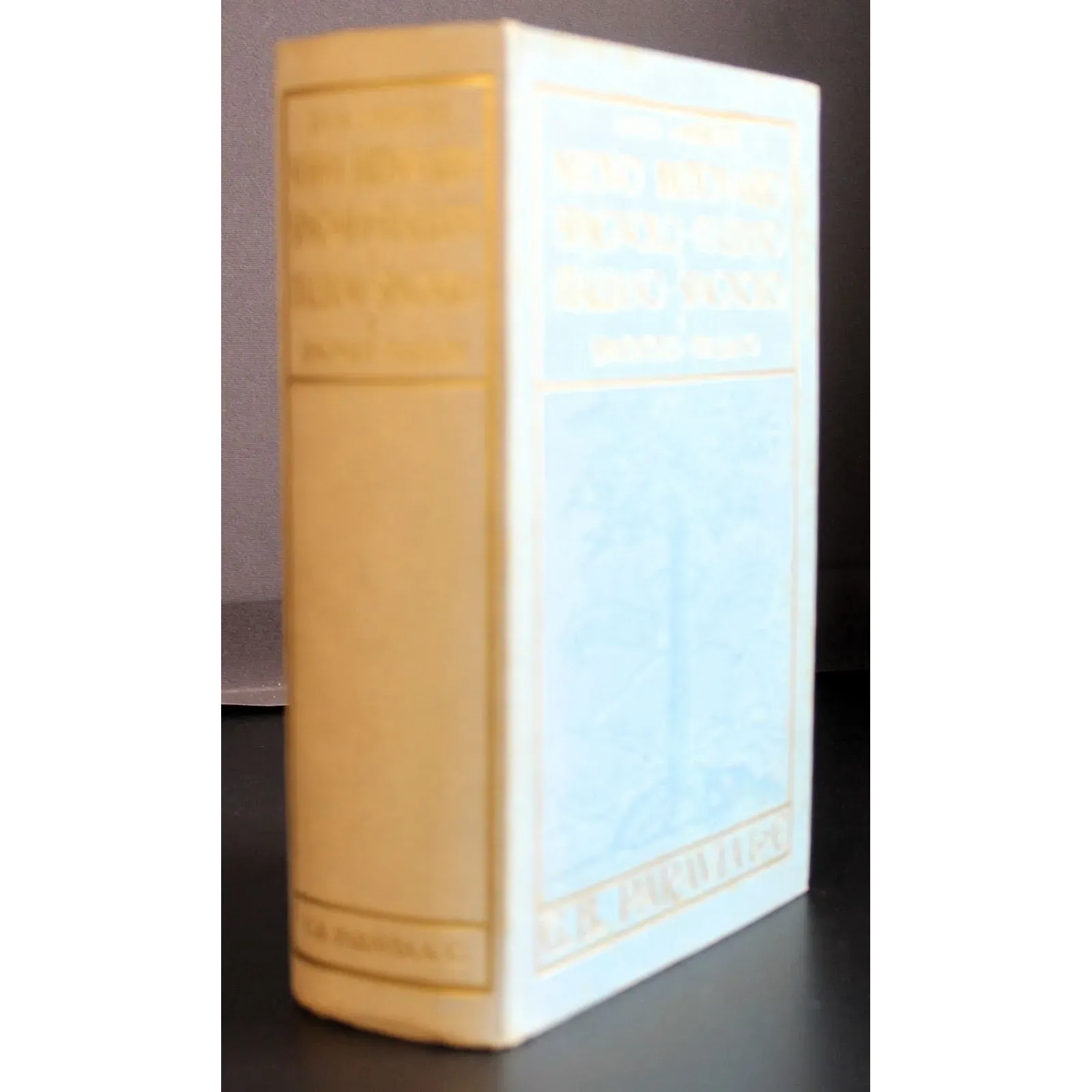 Nuovo Dizionario Vol I Spagnolo-Italiano