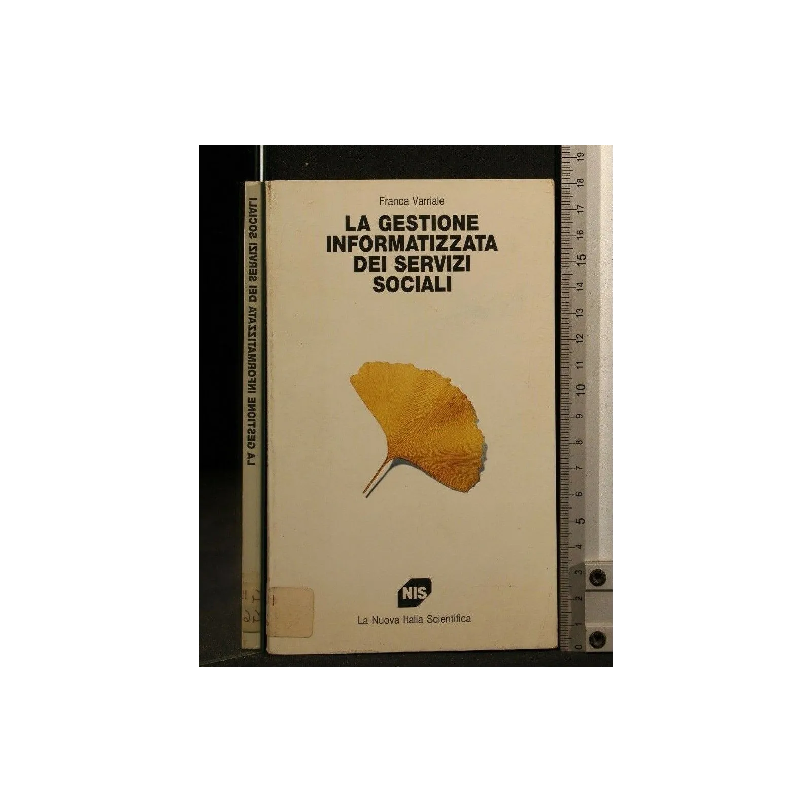 LA GESTIONE INFORMATIZZATA DEI SERVIZI SOCIALI