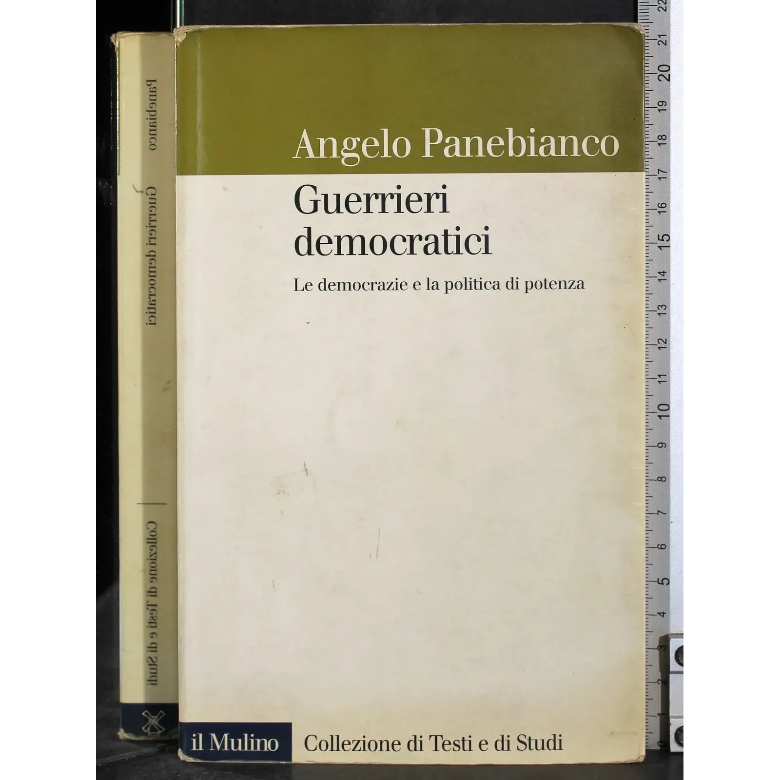 Guerrieri democratici