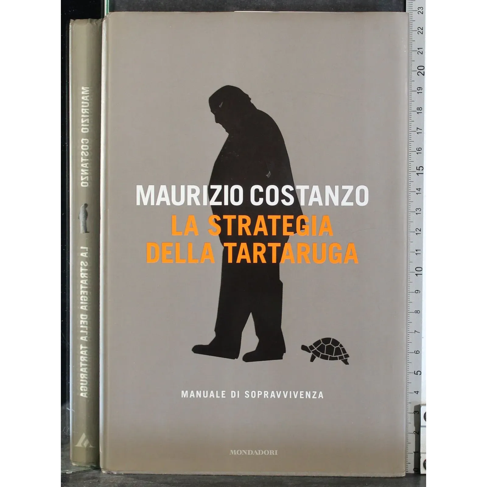 La strategia della tartaruga. Manuale di sopravvivenza
