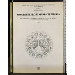 Raccolta studi Vol 3. Montefeltro e Massa Trabaria Tomo I