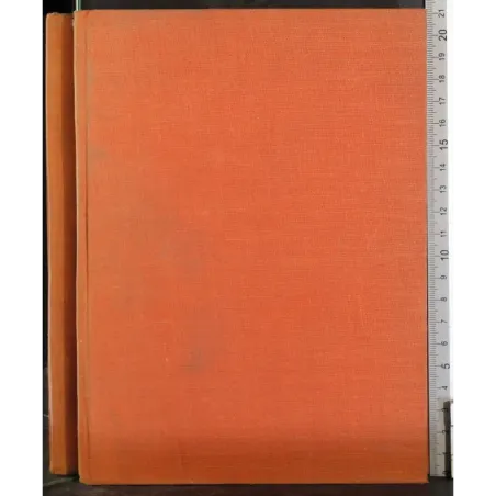 Collezioni dei grandi discorsi. Hitler Chamberlain ..