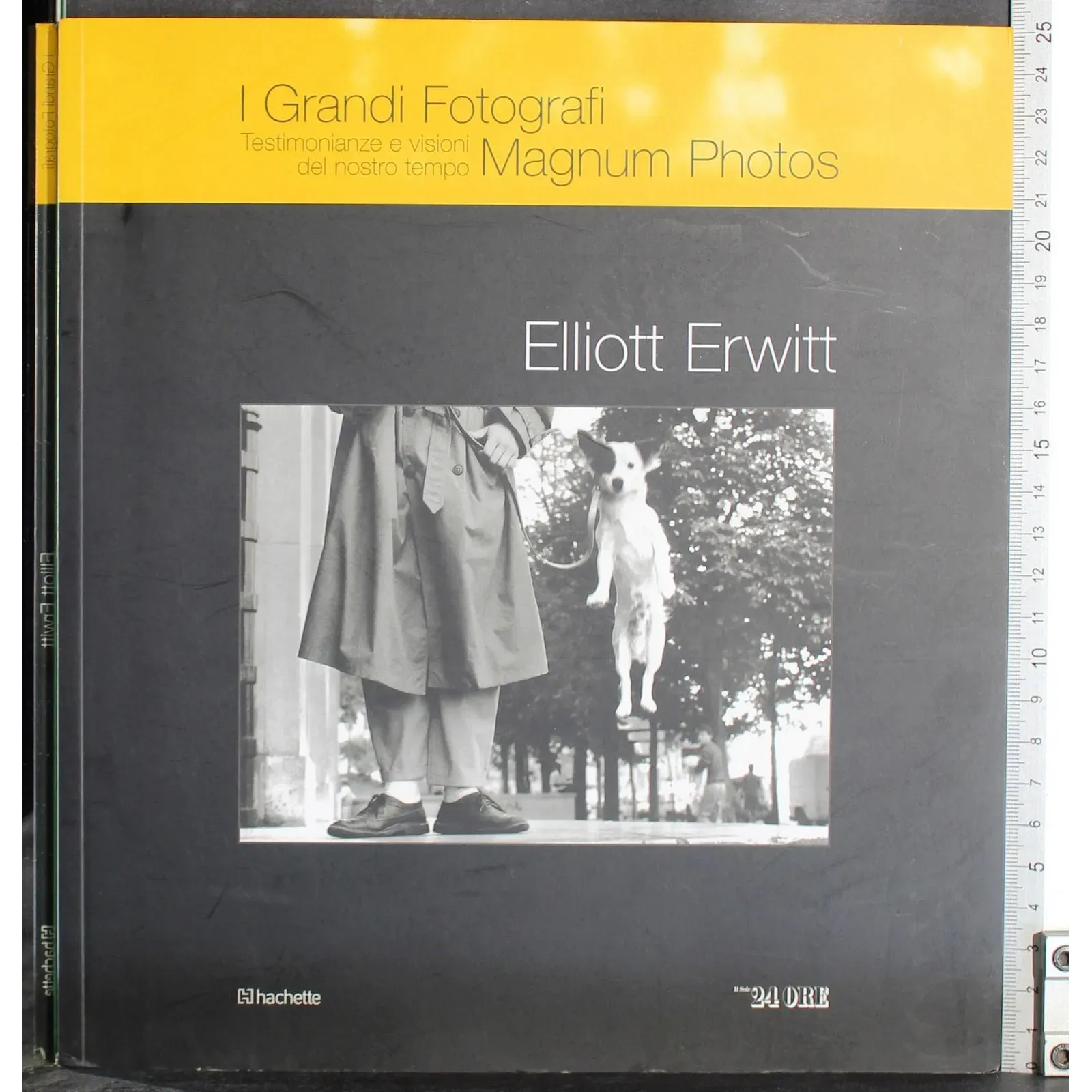 I Grandi fotografi. Elliott Erwitt