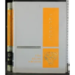 I Quindici 7. La vita intorno a noi