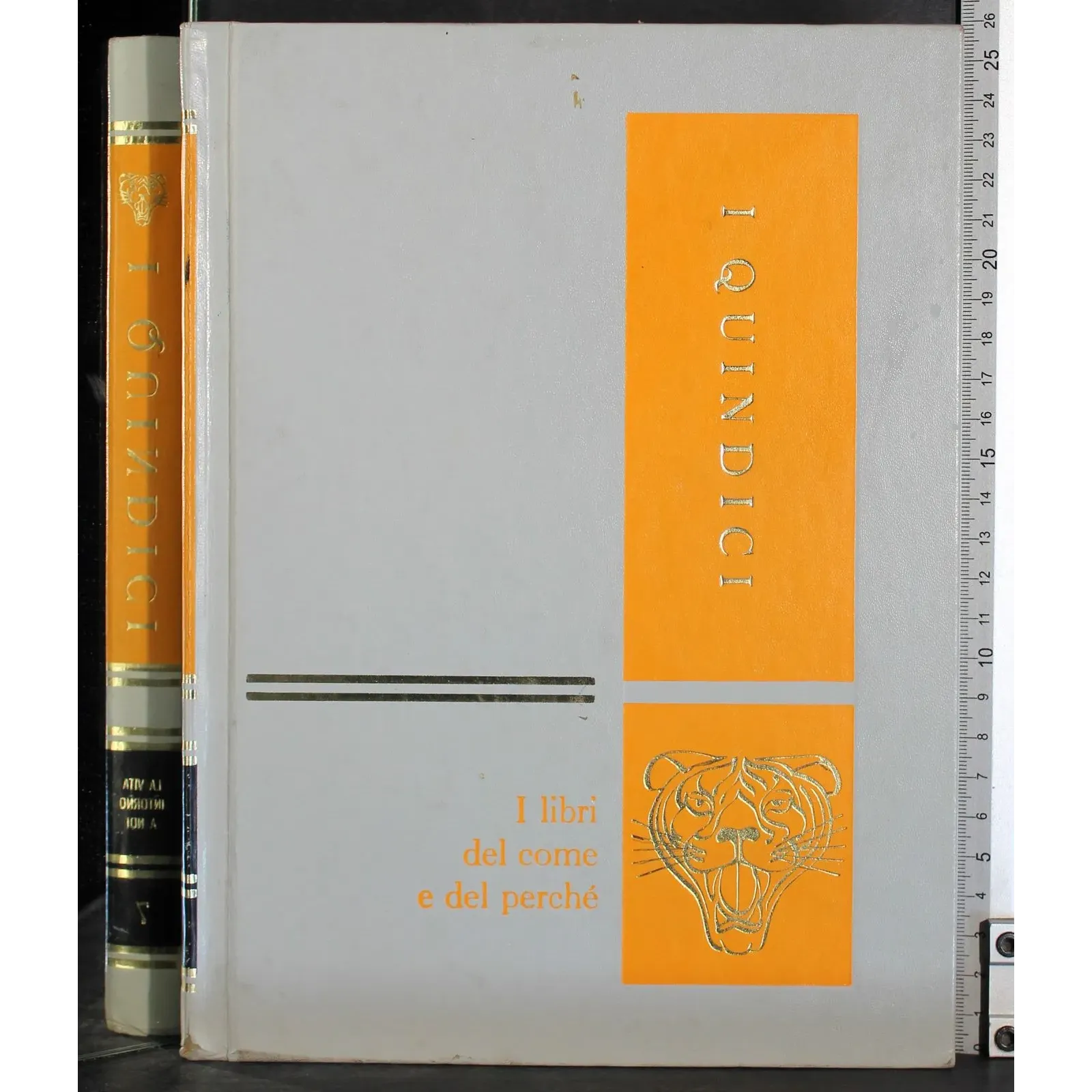 I Quindici 7. La vita intorno a noi