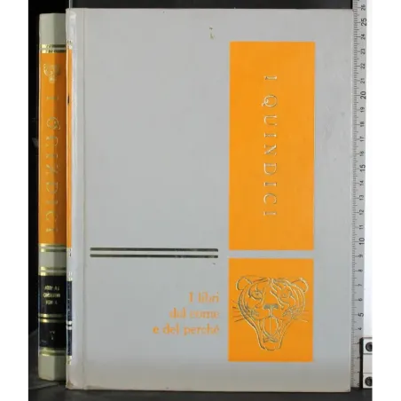 I Quindici 7. La vita intorno a noi