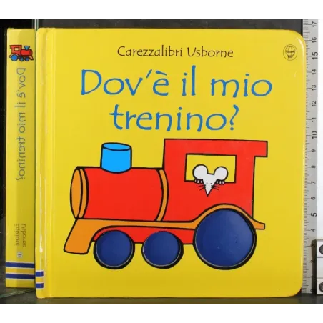 Dov'è? Il mio trenino
