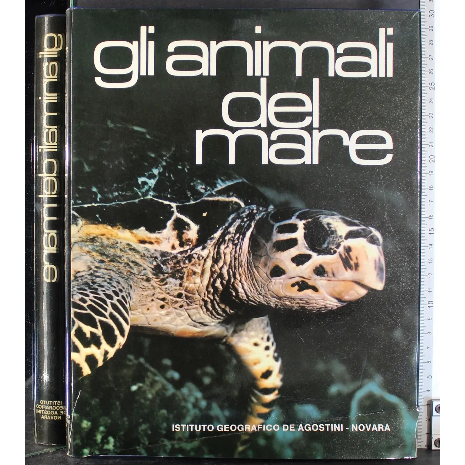 Gli animali del mare