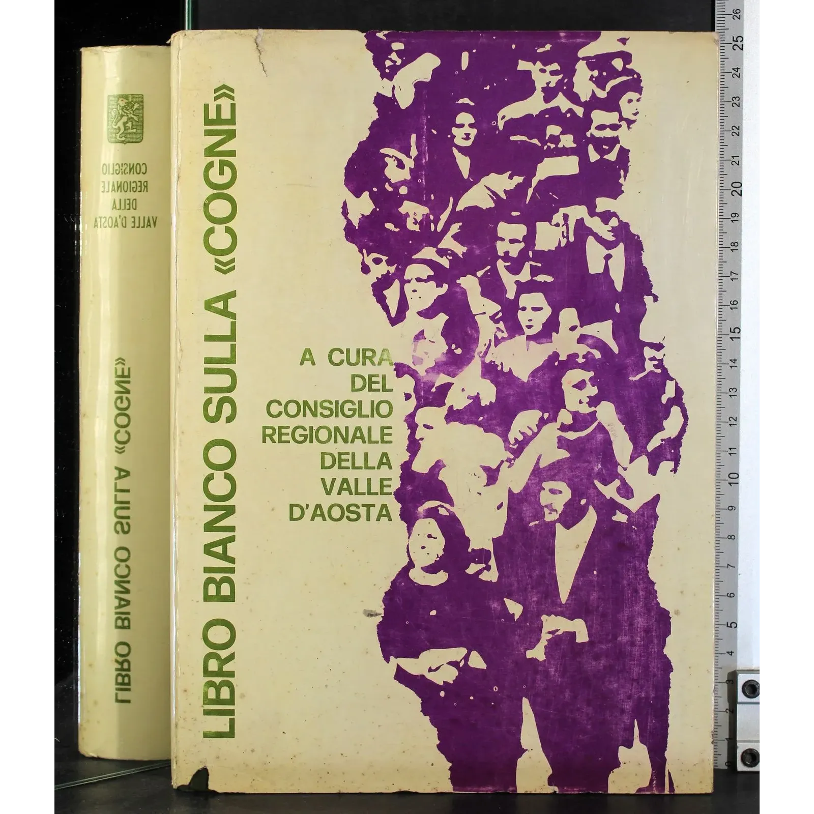 Libro bianco sulla Cogne