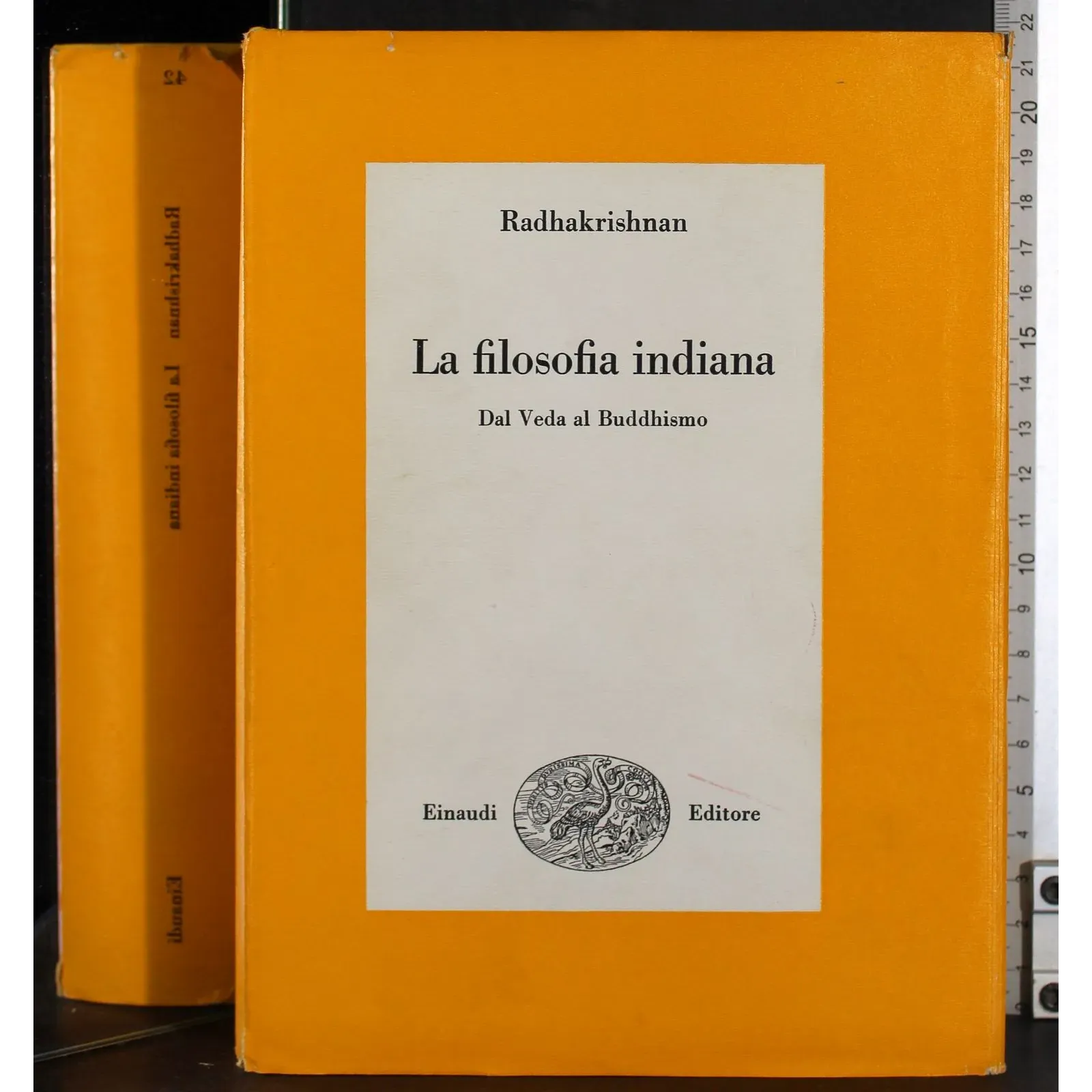 La filosofia indiana