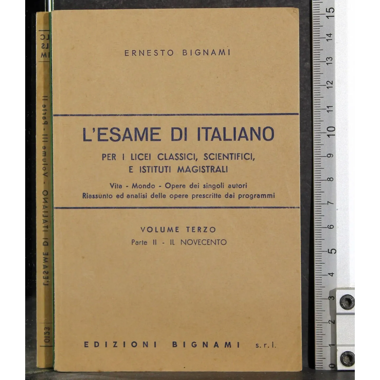L'esame di Italiano. Vol 3