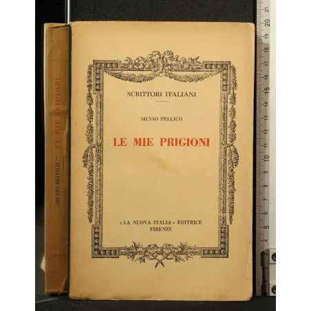 LE MIE PRIGIONI