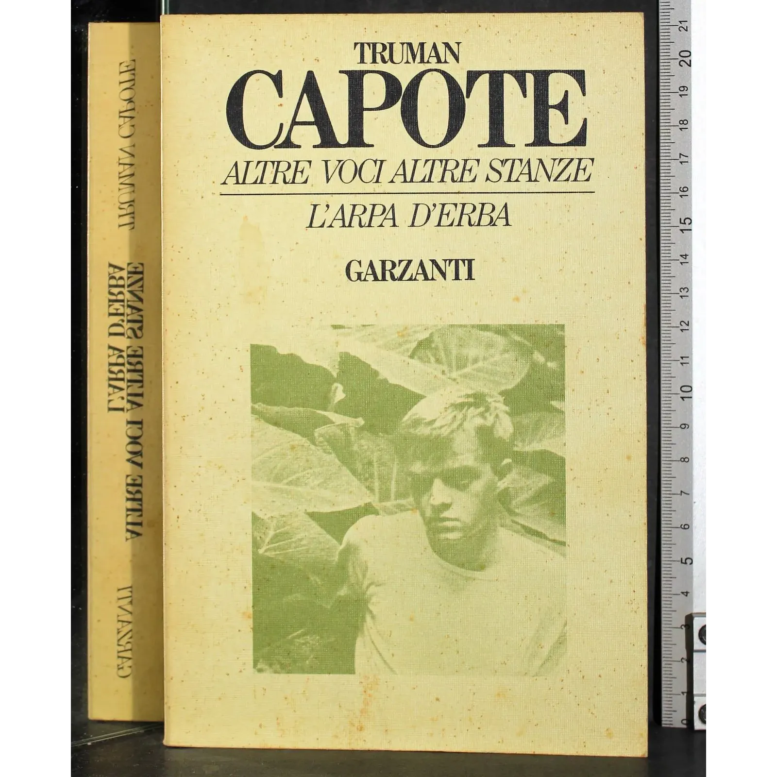 Altre voci altre stanze. L'arpa d'erba