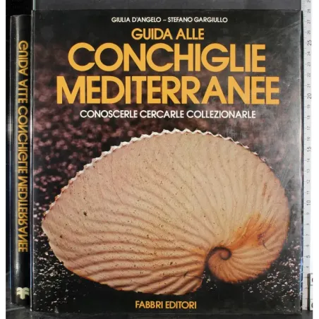 Guide alle conchiglie mediterranee