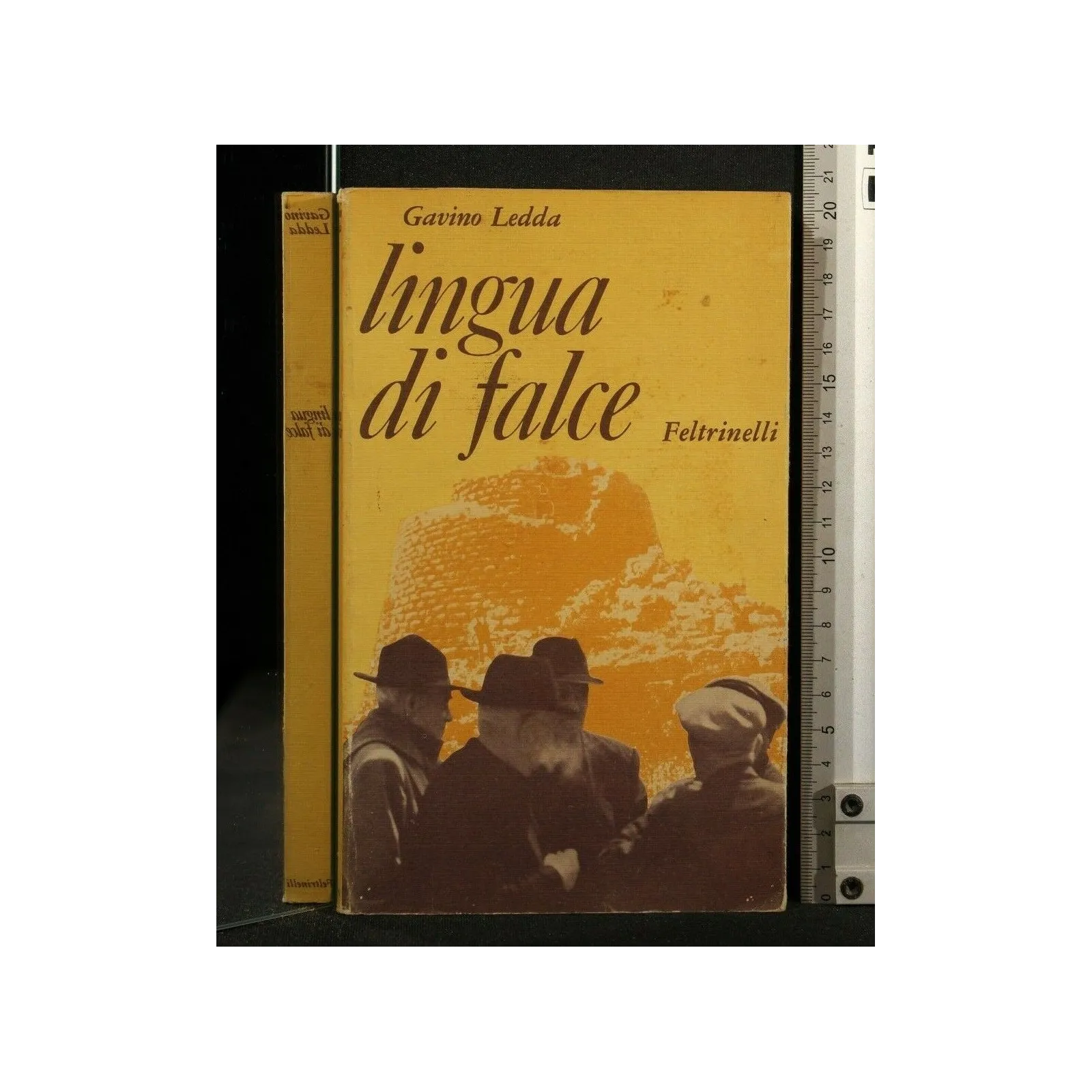 LINGUA DI FALCE