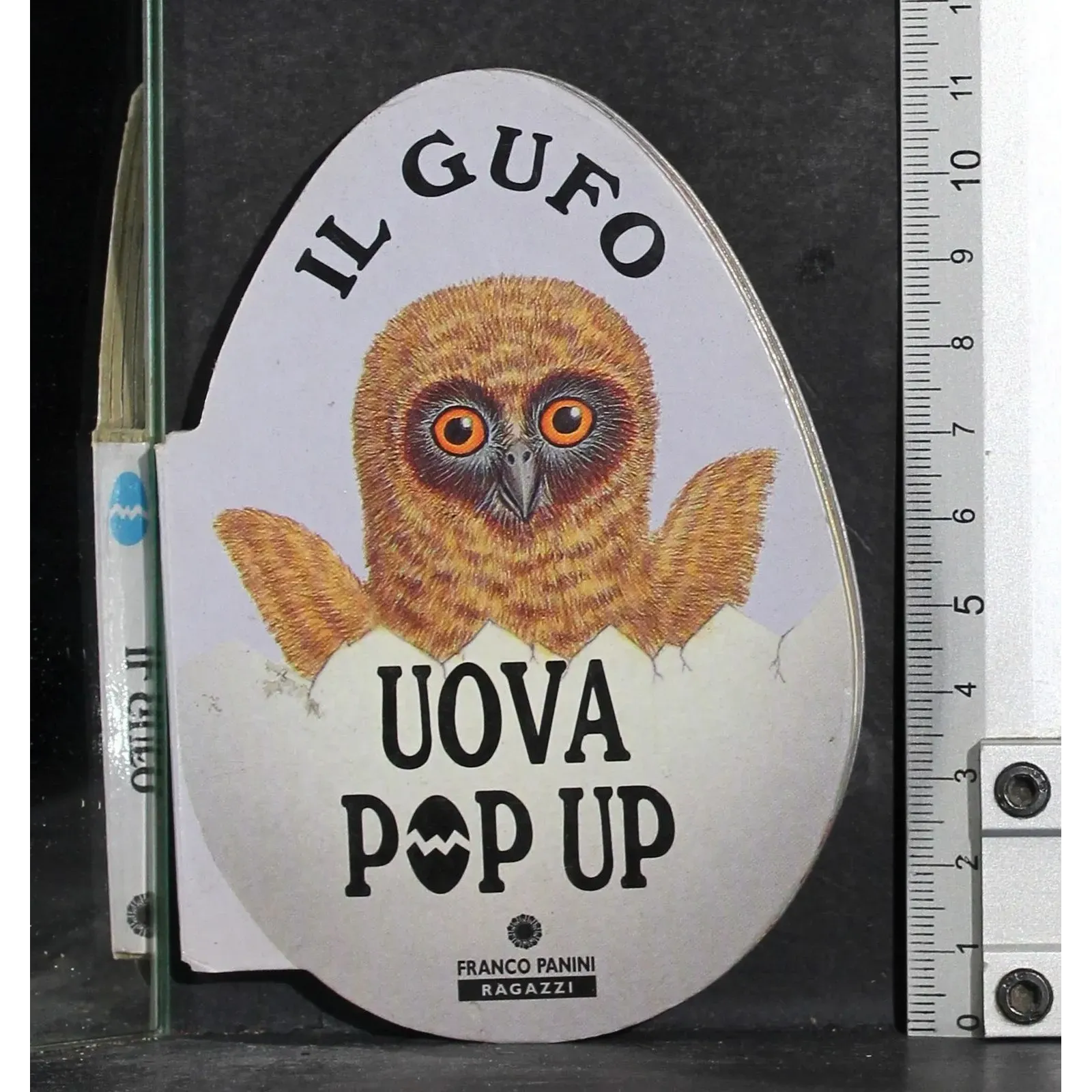 Il gufo. Uovo Pop Up