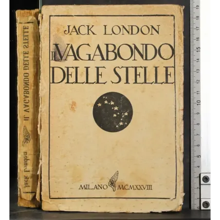 Il vagabondo delle stelle