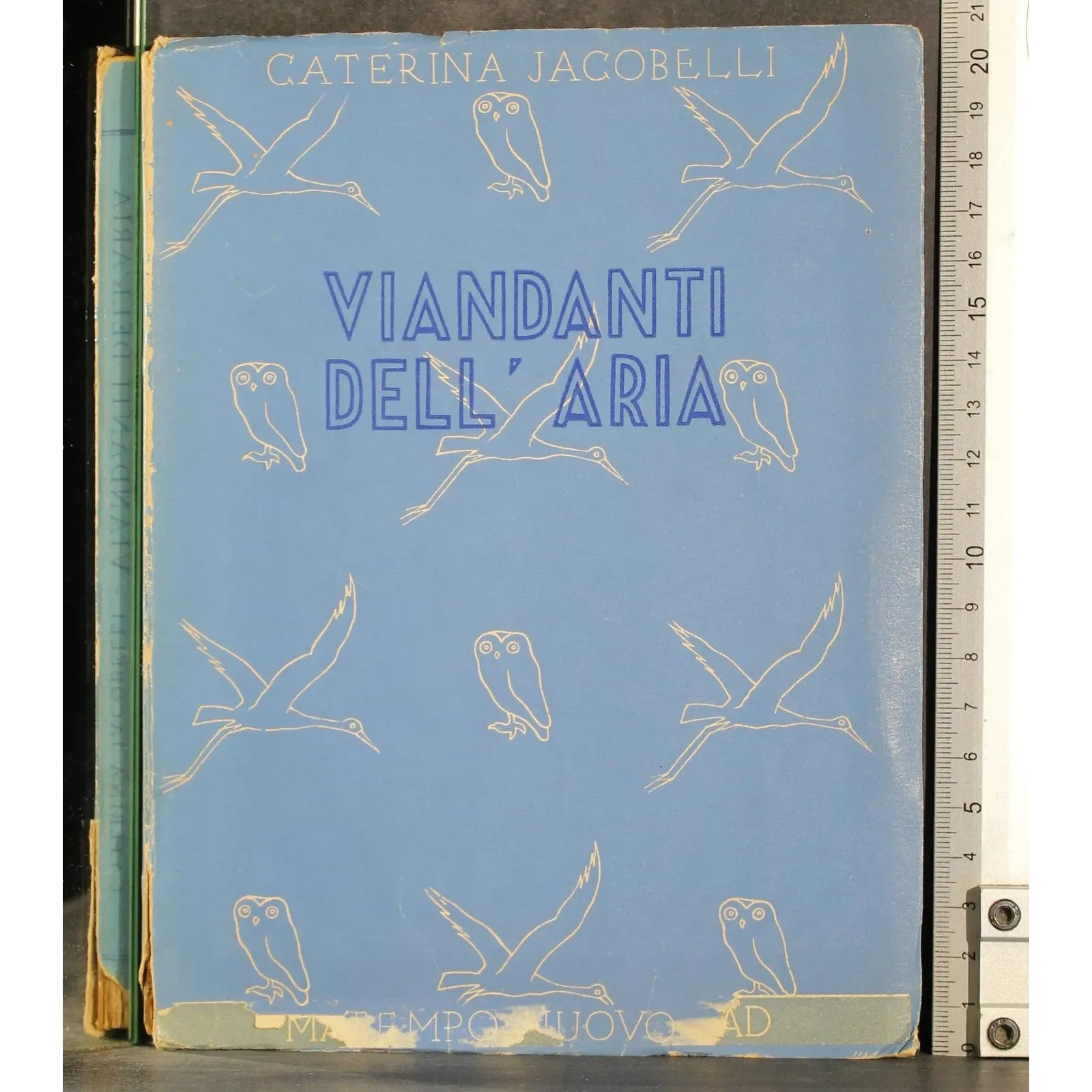 Vandali dell'aria
