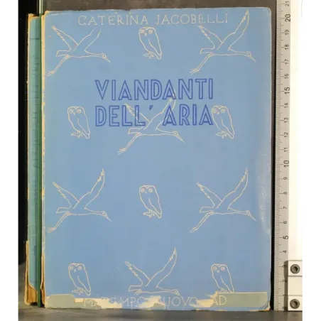 Vandali dell'aria