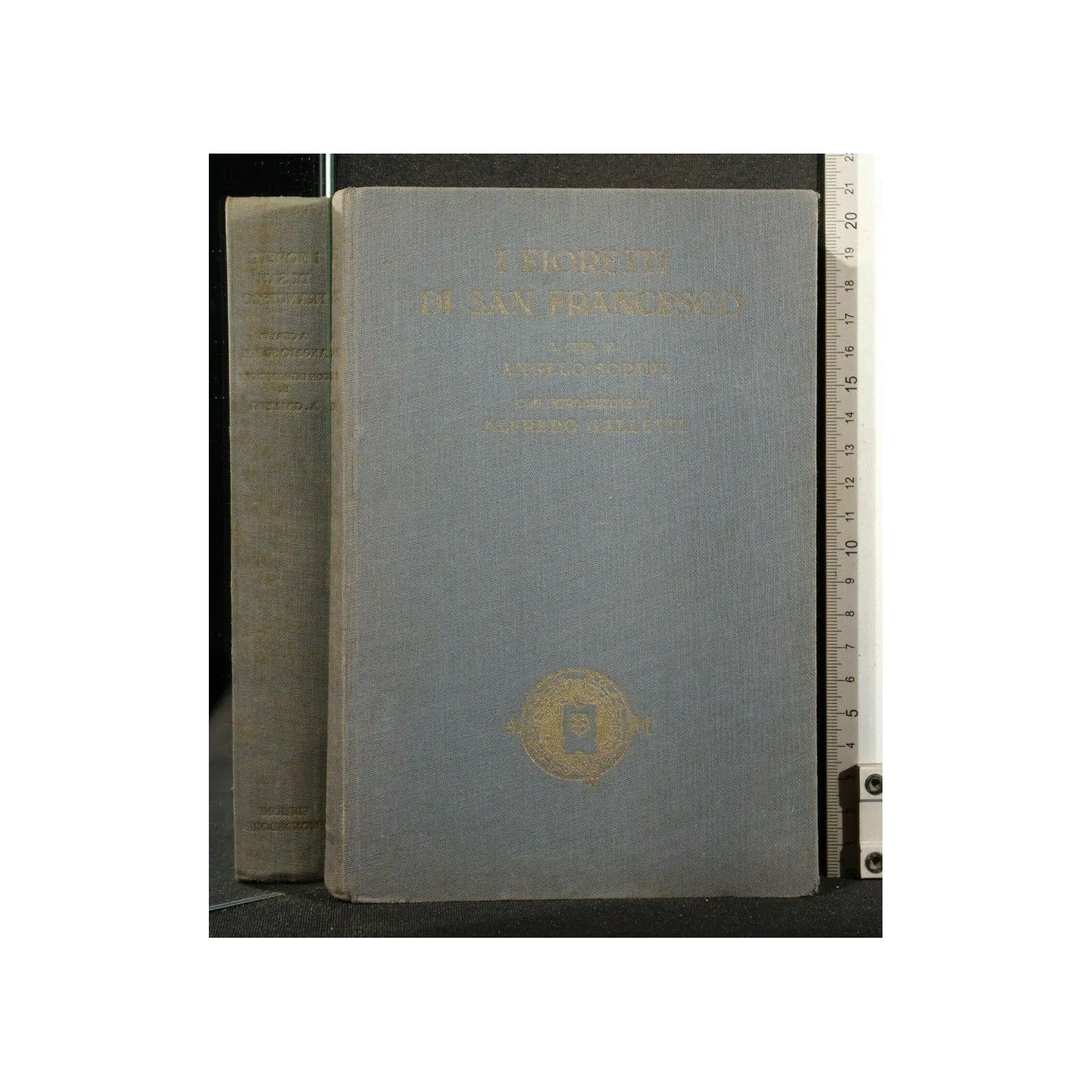 I FIORETTI DI SAN FRANCESCO