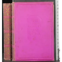 Il turbante violetto