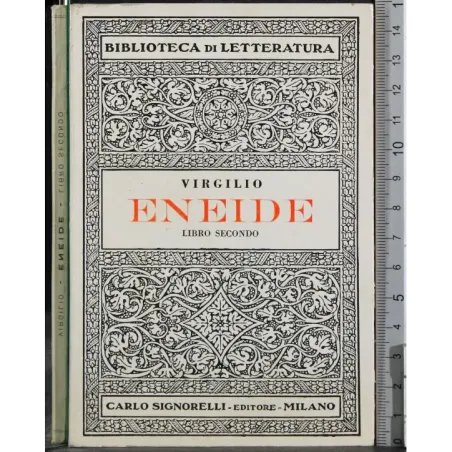 Eneide. Libro secondo