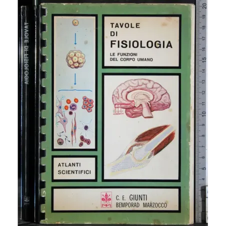 Tavole di fisiologia