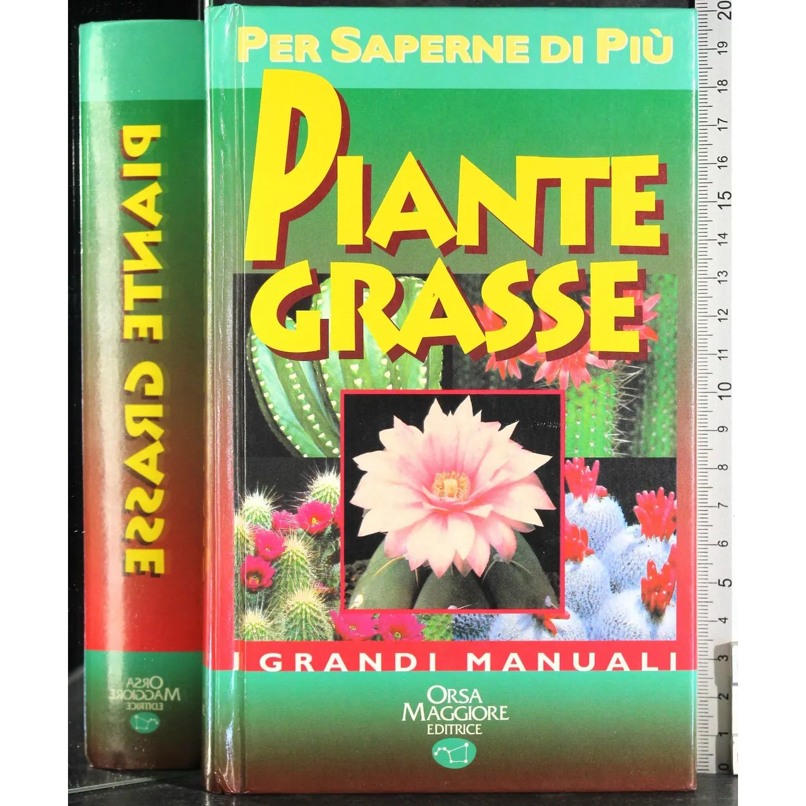 Piante grasse