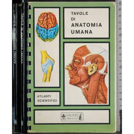 Tavole di anatomia umana