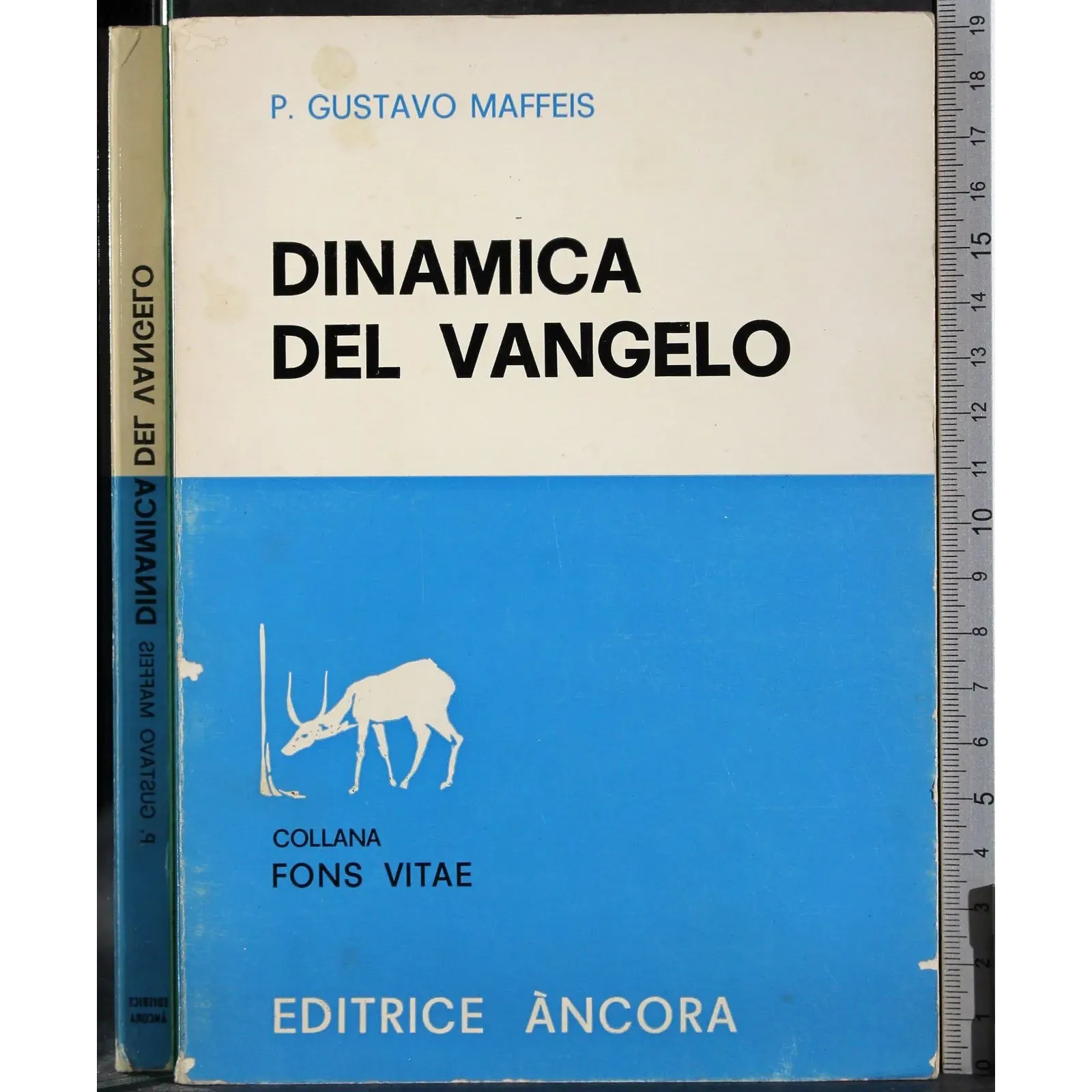 Dinamica del Vangelo