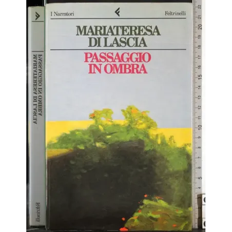 Passaggio in ombra