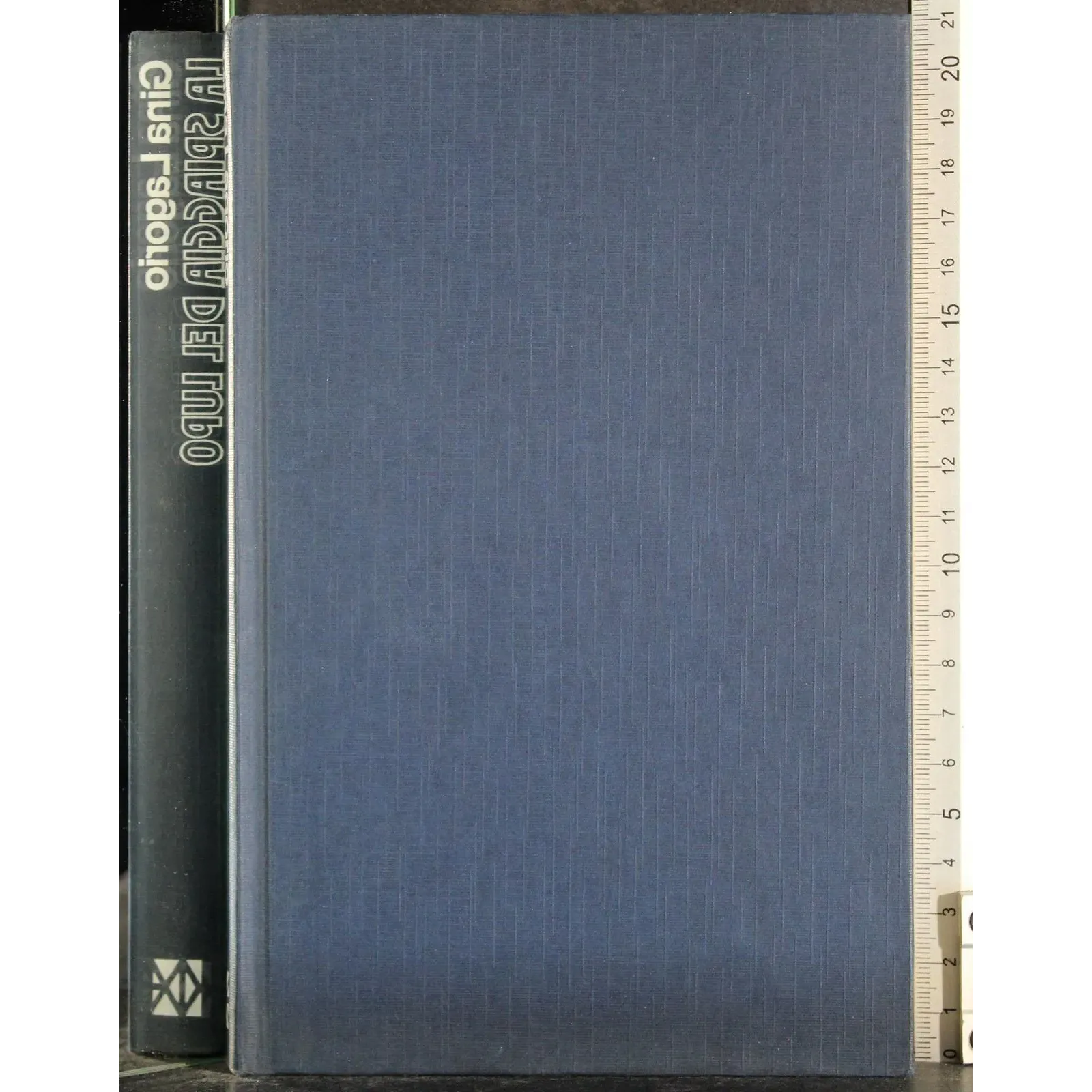 La spiaggia del lupo