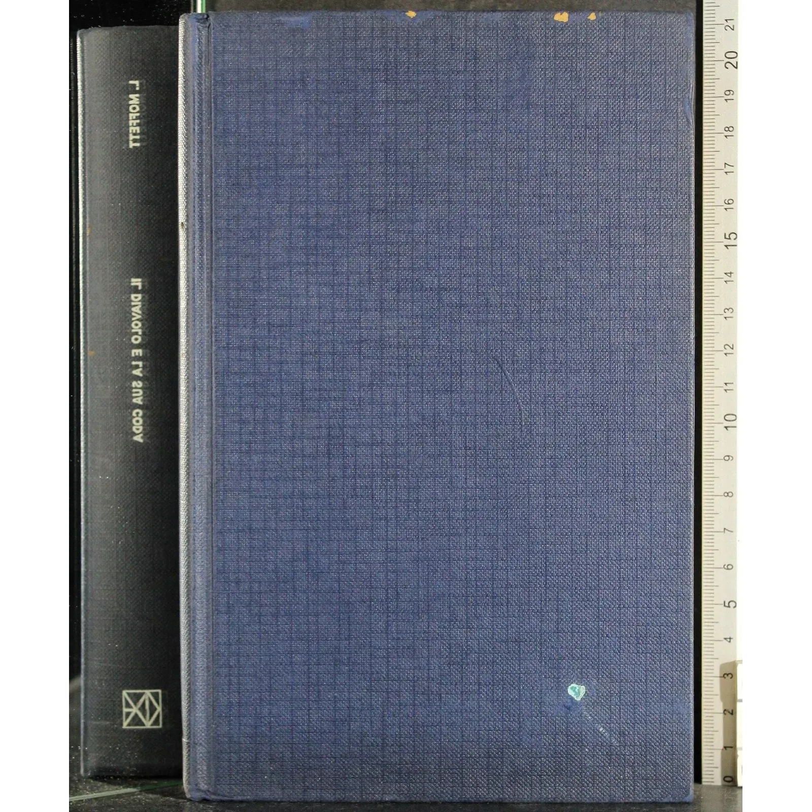 I diavolo e la sua coda