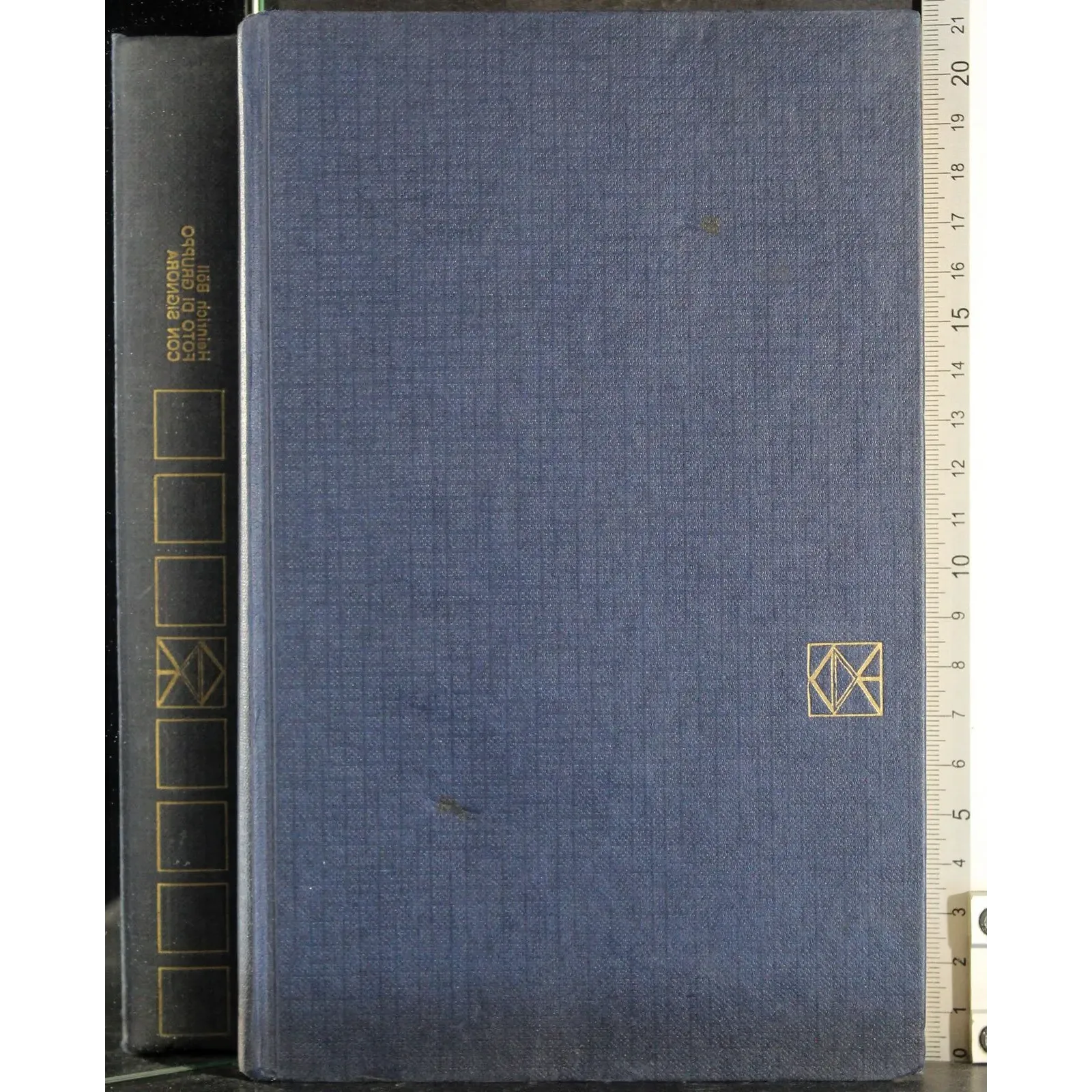 Foto di gruppo con signora