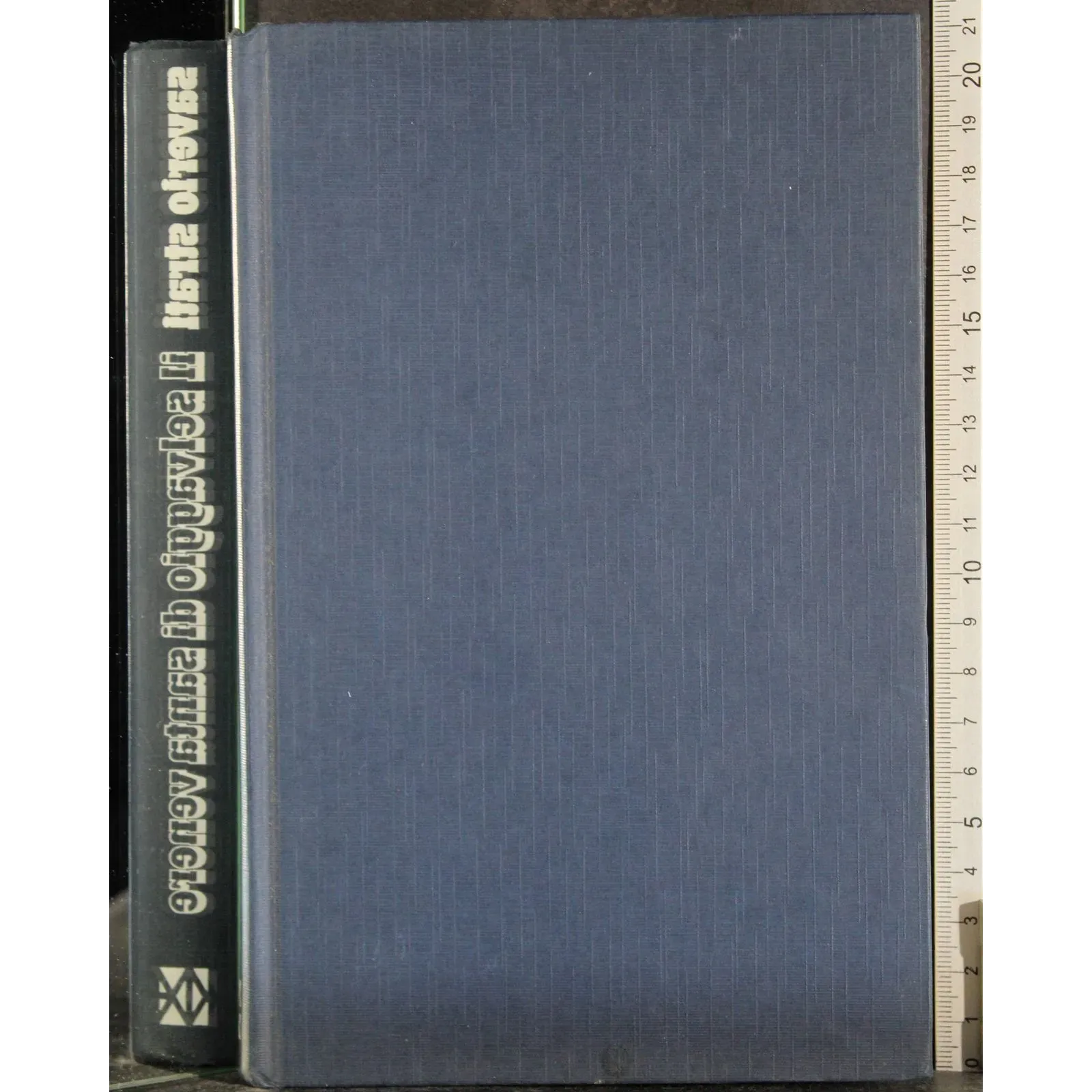 Il selvaggio di Santa Venere