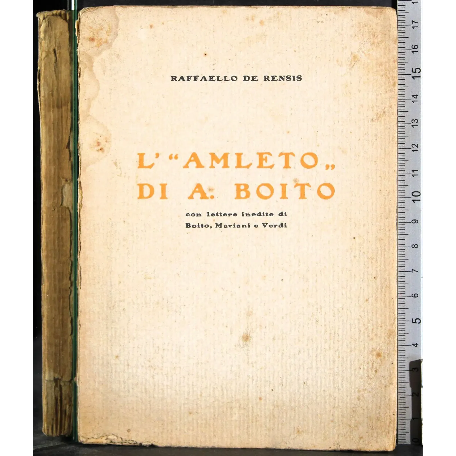 L'''Amleto'' di A Boito