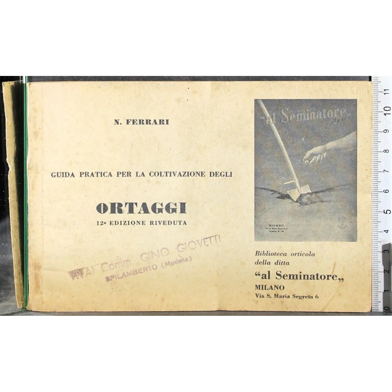 Guida pratica per la coltivazione degli ortaggi