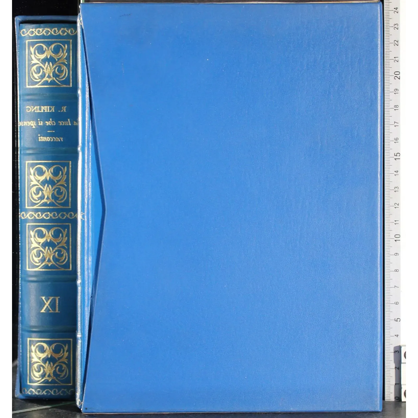 I premi nobel per la letteratura IX. La luce che si spense..