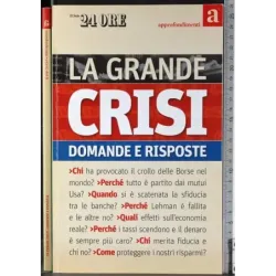 La grande crisi. Domande e risposte
