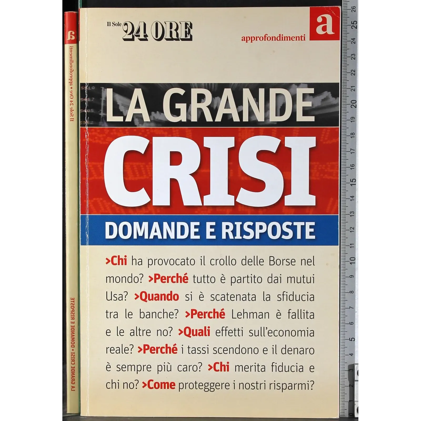 La grande crisi. Domande e risposte