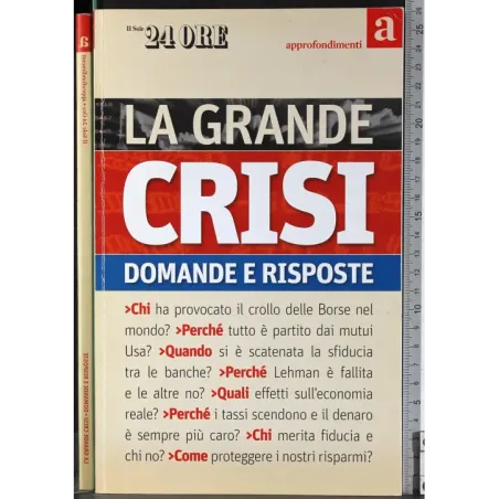 La grande crisi. Domande e risposte