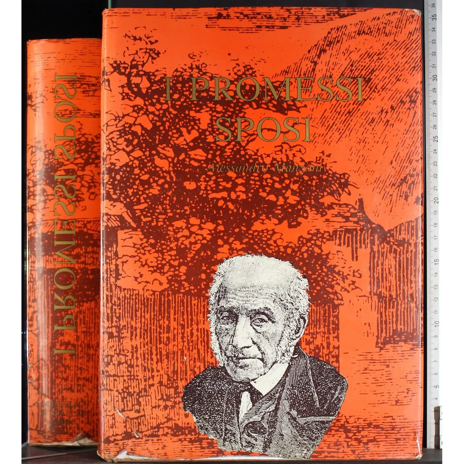 I promessi sposi