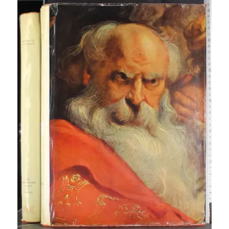 La pittura fiamminga. Vol 2