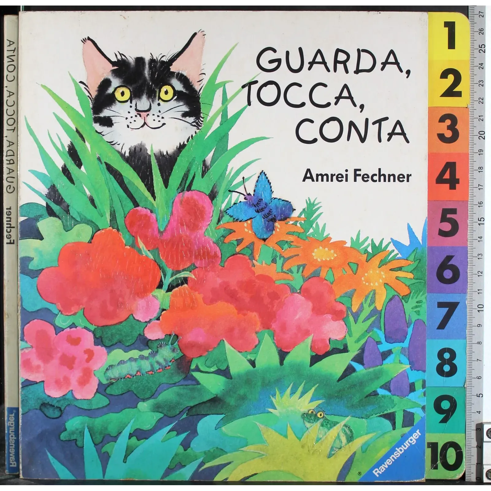 Guarda, tocca, conta