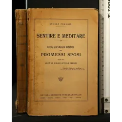 SENTIRE E MEDITARE GUIDA ALL'ANALISI ESTETICA DEI PROMESSI SPOSI