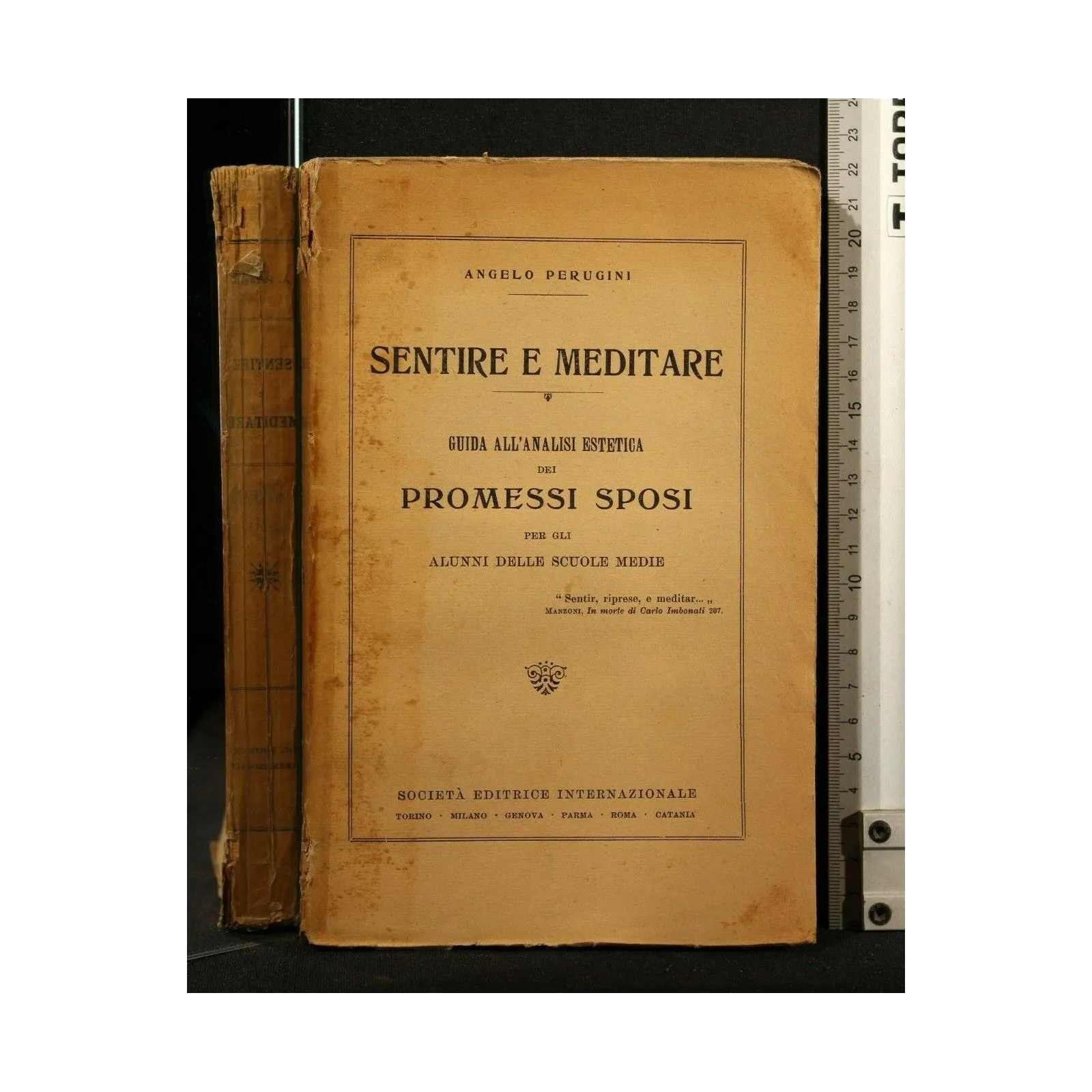 SENTIRE E MEDITARE GUIDA ALL'ANALISI ESTETICA DEI PROMESSI SPOSI