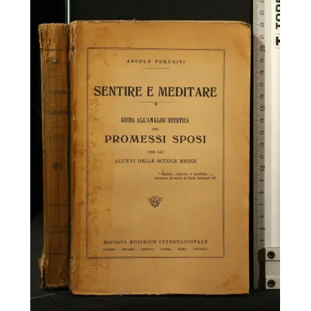 SENTIRE E MEDITARE GUIDA ALL'ANALISI ESTETICA DEI PROMESSI SPOSI